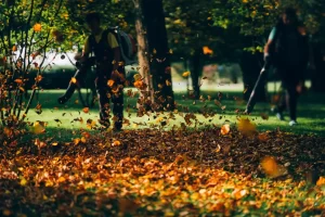 Foto de jardineros con sopladores de hojas, soplando las hojas caídas sobre el suelo